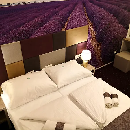 Hotel&spa Meydan 4*