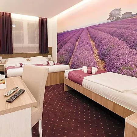 & Meydan 4*